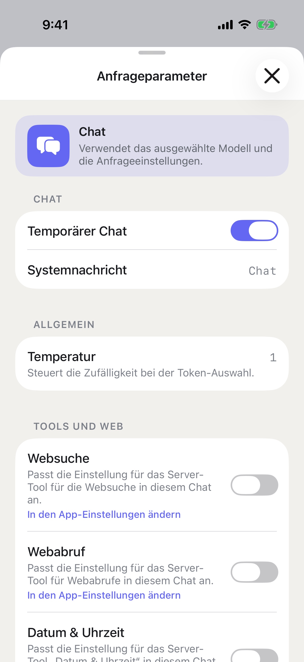 RouterChat-Anfrageparameter auf dem iPhone mit aktiviertem temporärem Chat