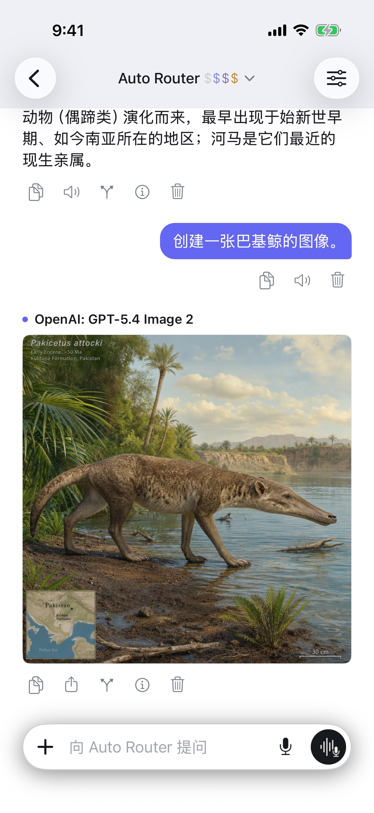 iPhone 上的 RouterChat 对话